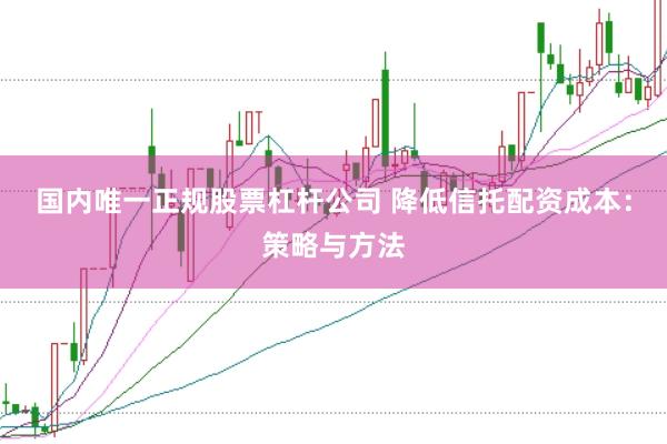 国内唯一正规股票杠杆公司 降低信托配资成本：策略与方法
