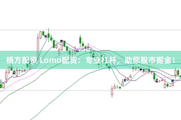 杨方配资 Lomo配资：专业杠杆，助您股市掘金！