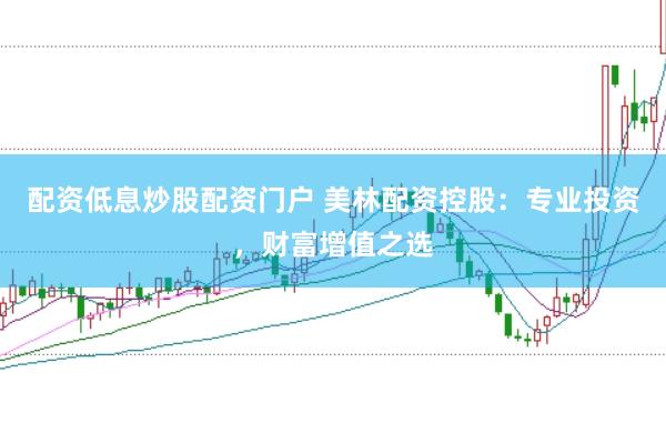 配资低息炒股配资门户 美林配资控股：专业投资，财富增值之选