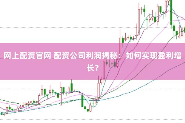 网上配资官网 配资公司利润揭秘：如何实现盈利增长？