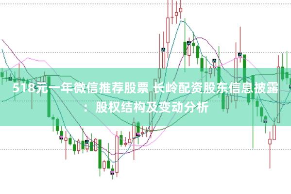 518元一年微信推荐股票 长岭配资股东信息披露：股权结构及变动分析