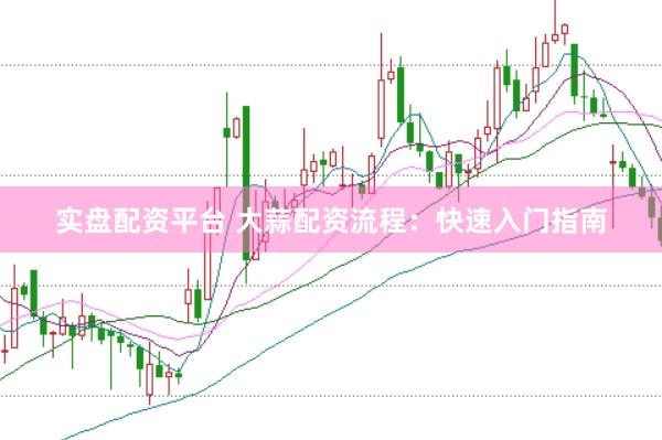 实盘配资平台 大蒜配资流程：快速入门指南