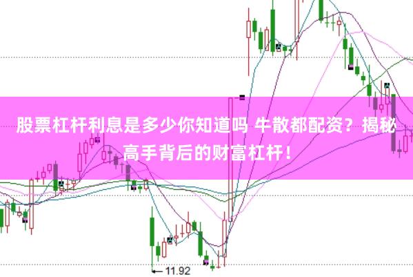 股票杠杆利息是多少你知道吗 牛散都配资？揭秘高手背后的财富杠杆！