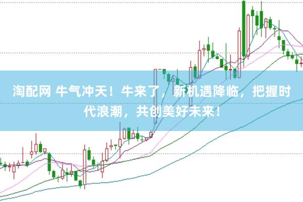 淘配网 牛气冲天！牛来了，新机遇降临，把握时代浪潮，共创美好未来！