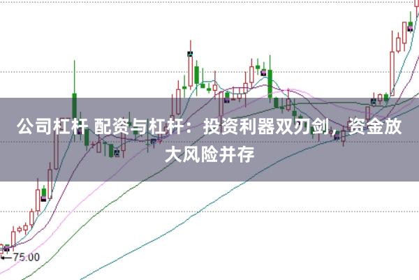 公司杠杆 配资与杠杆：投资利器双刃剑，资金放大风险并存
