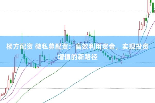 杨方配资 微私募配资：高效利用资金，实现投资增值的新路径