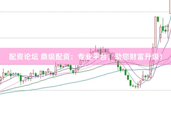 配资论坛 鼎级配资：专业平台，助您财富升级！