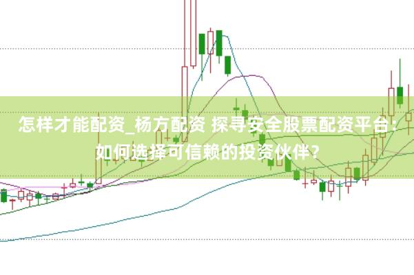 怎样才能配资_杨方配资 探寻安全股票配资平台：如何选择可信赖的投资伙伴？