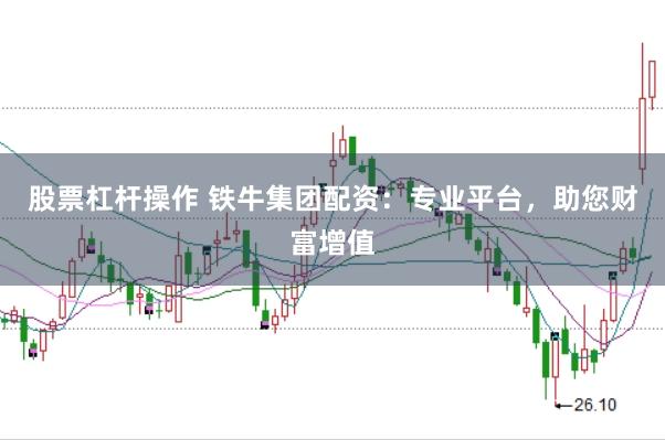 股票杠杆操作 铁牛集团配资：专业平台，助您财富增值
