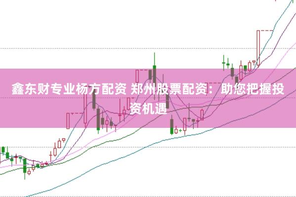 鑫东财专业杨方配资 郑州股票配资：助您把握投资机遇