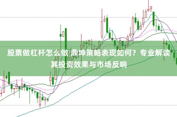 股票做杠杆怎么做 鼎坤策略表现如何？专业解读其投资效果与市场反响