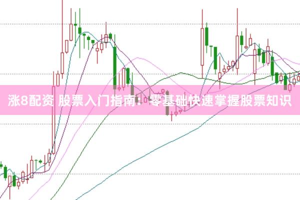 涨8配资 股票入门指南：零基础快速掌握股票知识