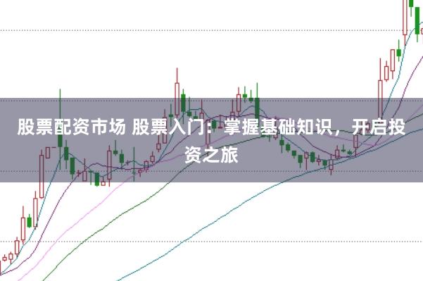 股票配资市场 股票入门：掌握基础知识，开启投资之旅