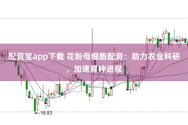 配资宝app下载 花粉母细胞配资:助力农业科研,加速育种进程