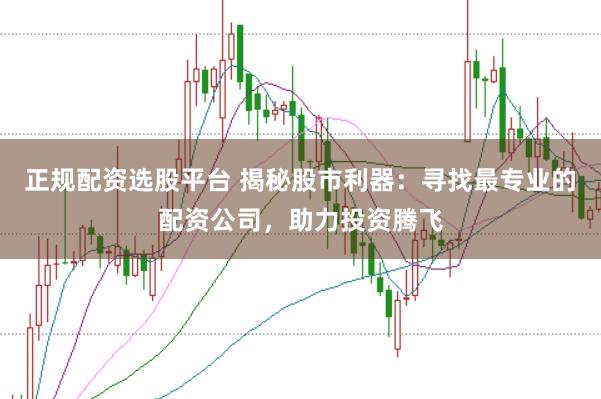 正规配资选股平台 揭秘股市利器：寻找最专业的配资公司，助力投资腾飞